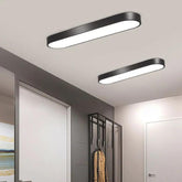 Minimalist Long Oval Led Lights Ceiling